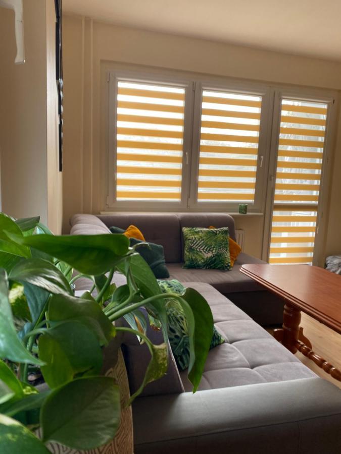 Apartament Arkonska 슈체친 외부 사진